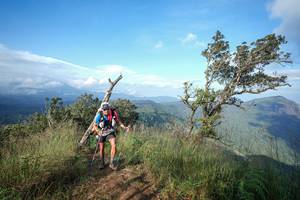 BIB: 
                            <button type="button" onclick="openModal(22374050)" class="btn btn-primary btn-sm float-right btn-popup" data-toggle="modal" data-target=".modal-high-quality">
                        <i class="fas fa-shopping-cart"></i> Add to Cart
                    </button>
                                            <button type="button" onclick="isThisMe(22374050, true)" class="btn btn-success btn-sm float-right btn-popup btn-isme hidden" data-toggle="tooltip" data-placement="bottom" title="นี่คือรูปของคุณใช่ไหม คลิกที่นี่เพื่อเอาเข้าอัลบั้ม">
                        <i class="fas fa-plus"></i> Add to album
                    </button>
                    <button type="button" onclick="isThisMe(22374050, false)" class="btn btn-warning btn-sm float-right btn-popup btn-isnotme hidden">
                        <i class="fas fa-ban"></i> Remove from album
                    </button>